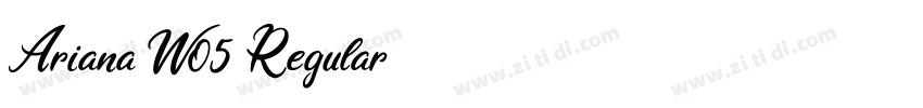 Ariana W05 Regular字体转换